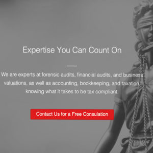 website for forensic accounting
